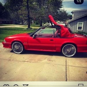 Meet your Posher, Donnavan